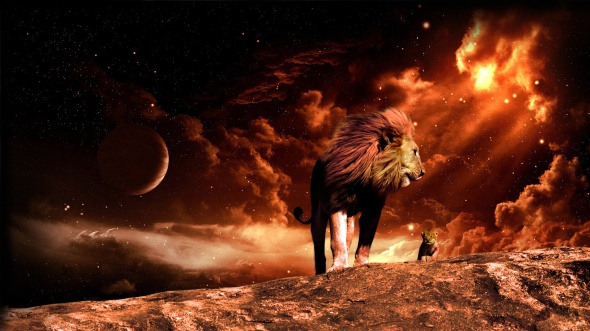 lion-lion-space-fire